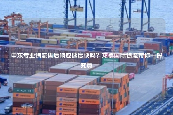 中东专业物流售后响应速度快吗？龙禧国际物流带你一探究竟