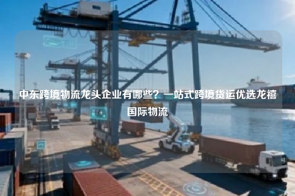 中东跨境物流龙头企业有哪些？一站式跨境货运优选龙禧国际物流