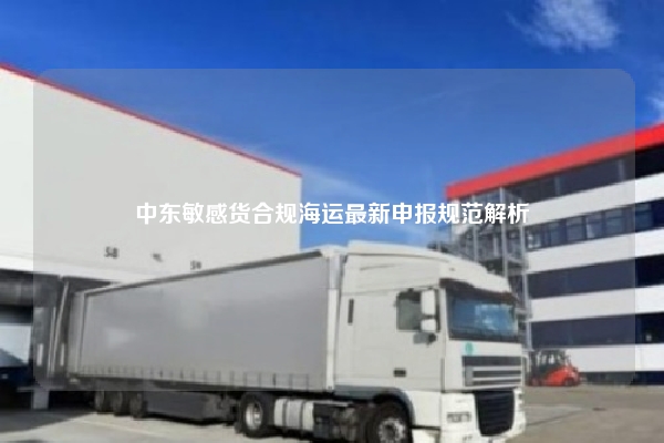中东敏感货合规海运最新申报规范解析